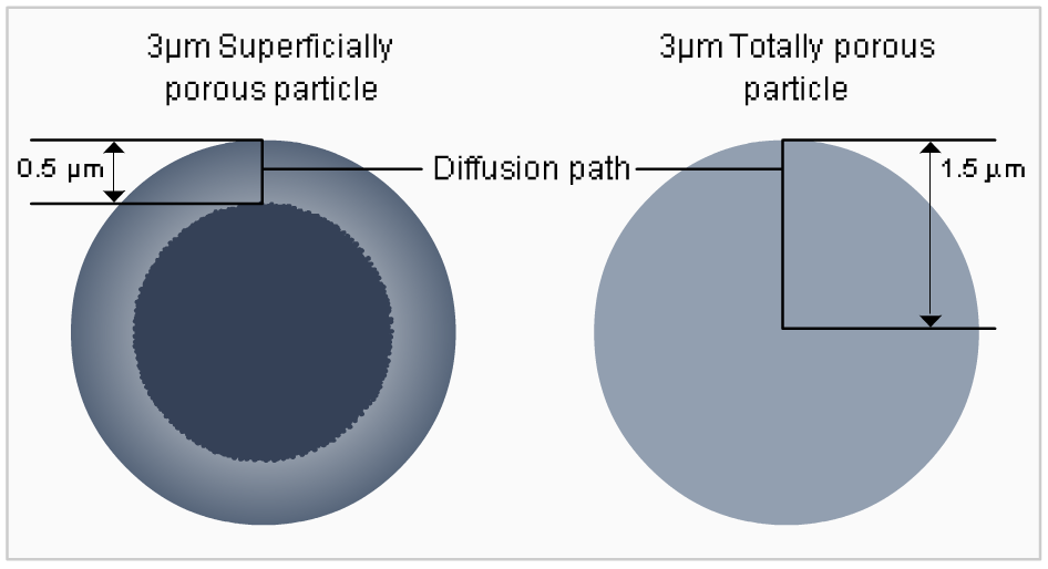 Superficially porous particles dimensions